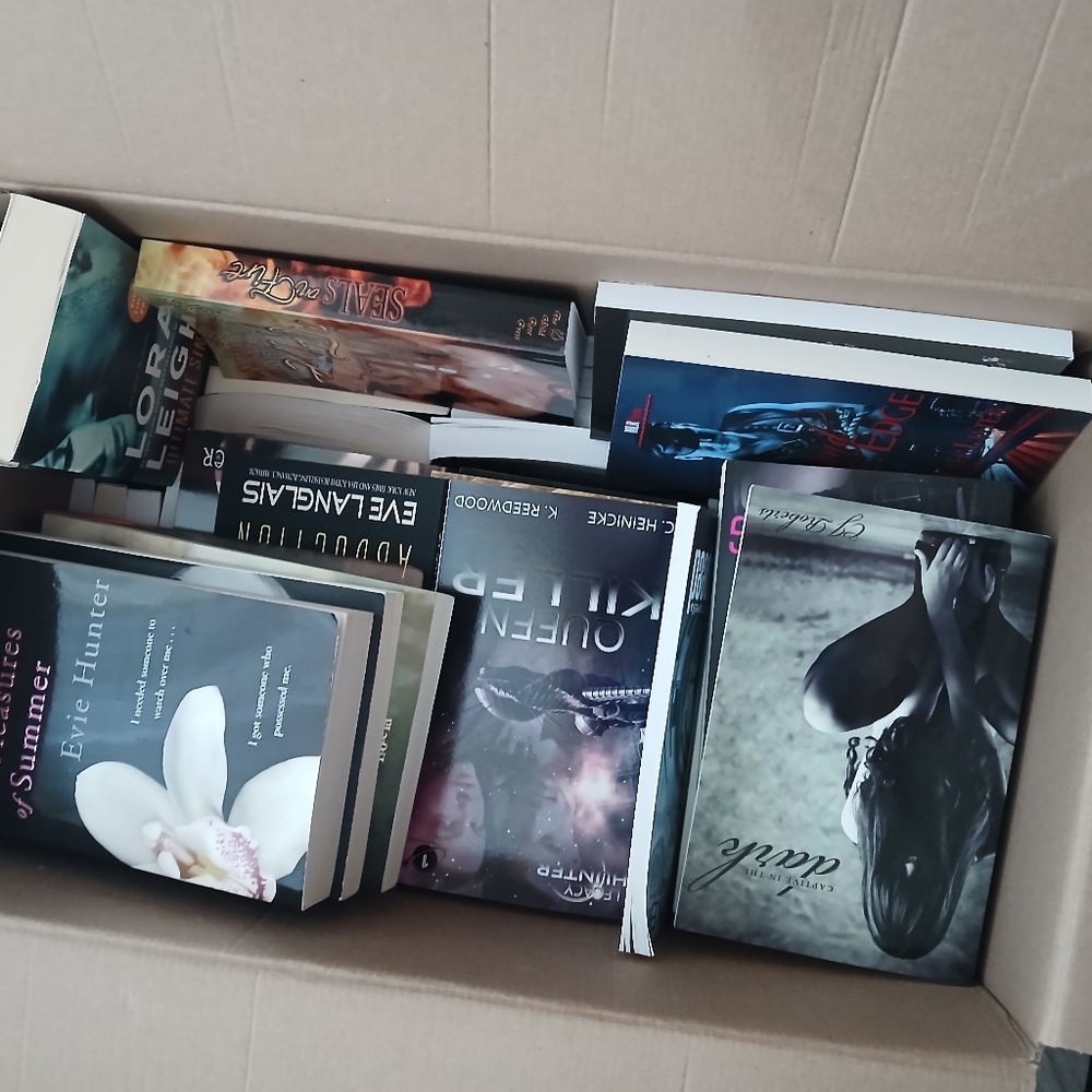 Spicy Surprise Book Bundle Of 5+ Books🔥🌶